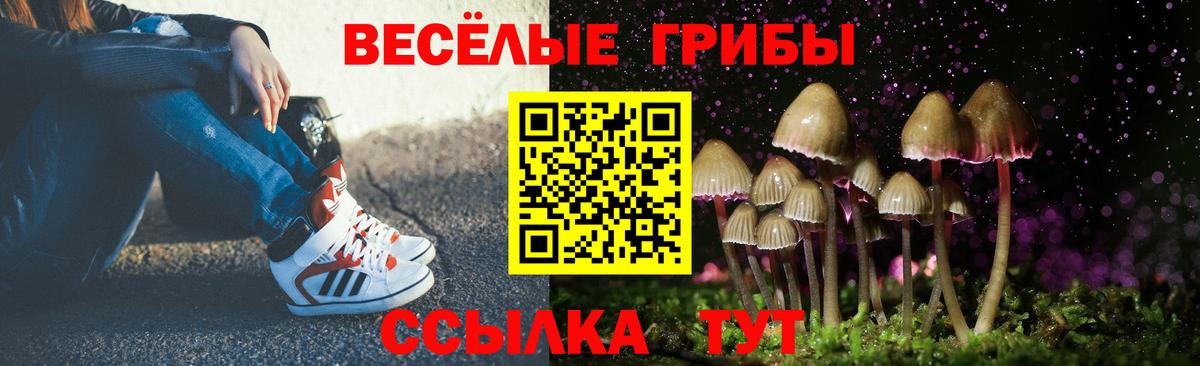 Галлюциногенные грибы GOLDEN TEACHER  Вход с VPN  Ржев 